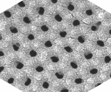 Nanoporous Anodic Aluminum Oxide, top view SEM